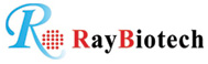 RayBiotech